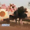 Sunrise - Nedd