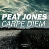 Carpe Diem (Radio Edit) - Peat Jones