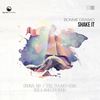 Shake It (Original Mix) - Bonnie Drasko