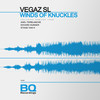 Winds of Knuckles (Axel Terblanche Remix) - VegaZ SL&Axel Terblanche