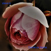 Come on Home - Steve K