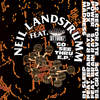 DX Madness (Original Mix) - Neil Landstrumm