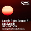 Sensation (Zerotonine Remix) - Dj Silverado&P-One&Zerotonine
