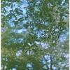 Tranquillity - FiGDee