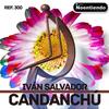 Candanchú - Iván Salvador