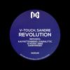 Revolution (Original Mix) - V-Touch&Sandre