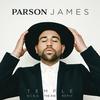 Temple (Niko The Kid Remix) - Parson James