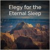 Elegy for the Eternal Sleep - Vicente Lucas