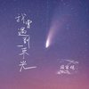 我曾遇到一束光 (许愿版) - 国骁雯