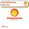 I Like You (Radio Version) - Sacchi & Durante