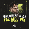 Valorize o Dj - Faz Meu Pix (Explicit) - Mc Delux&DJ Negritto