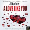 A LOVE LIKE YOU (feat. JASIN KASH & PHANTUM) - J Barlow&Jasin Kash&Phantum