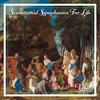 III. Allegro Assai - Eckart Haupt&Burkhard Glaetzner&kammerorchester Carl Philipp Emanuel Bach
