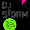 Run Against The Wind - DJ Storm