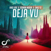 Deja Vu - Andi Vax&Roman Marin&Emily B