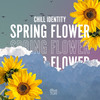 Spring Flower - Roman Müller&Chill Identity