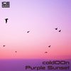 Purple Sunset (Original Mix) - cold00n