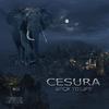 Back To Life (Original Mix) - Cesura