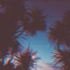 Sitting on sunset (Explicit) - $MASH
