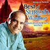 Hey Govind Hey Gopal - Suresh Wadkar