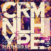 Synthesis (Original Mix) - Fancy Inc