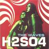 The Waves (Combo Mix) - H2SO4