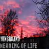 Meaning of Life (Explicit) - yung&王旭杰WangJay