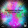 You Drive Me Crazy (Blu Inc Remix) - PD&Cousin Tony