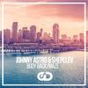 Maze - Johnny Astro&Shepelev