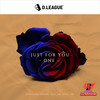 JUST FOR YOU -ONE-(feat. aimi) - KADOKAWA DREAMS&aimi