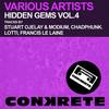 The Future (Original Mix) - Stuart Ojelay&Modium