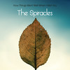 Fireflies (Canu Altocamet Remix) - The Spiracles&Adrián Canu&Luis Rodriguez