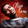 Dliso Lami(feat. Fey M) - Bhizer&Fey M