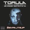 Moje posláný (feat. Tafrob) (Explicit) - Torula&Matej Bartoš&Tafrob
