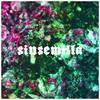 Sinsemilla (Explicit) - 104&Скриптонит&Вандер Фил&Rigos