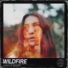 Wildfire - Josh Le Tissier