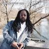 Cant Stop We From Fly - Ragga Lox&Natty Remo&Jango Thriller
