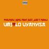 Umjolo uyanyisa (feat. Just_Gee & Mbali) - PhilMow_King&Just_Gee&Mbali