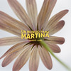 Un mundo para Martina - Gabriel Lema