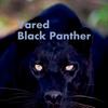 Black Panther - Yared