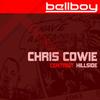 Hillside - Chris Cowie