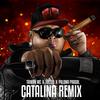 Catalina (Costa Rican Remix) - Taiwan MC&Toledo&Paloma Pradal