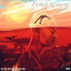 Peace of Mind(feat. Foxx-a-Mill) (Explicit) - Keezy Off 38th&Foxx-A-Mill