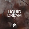 Lost (Radio Edit) - Liquid Dream