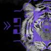 Traumzirkus - Tors