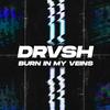 Burn in my veins - DRVSH&Dervissoglou Loic