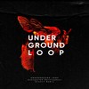 Unexpected Development (Arsanit Remix) - Underground Loop
