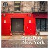 New York (Terry Lee Brown Junior Remix) - Specdub
