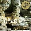 Pílgrims - Fantastic Twins