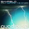 Calm Before The Storm (Original Mix) - Skyfield